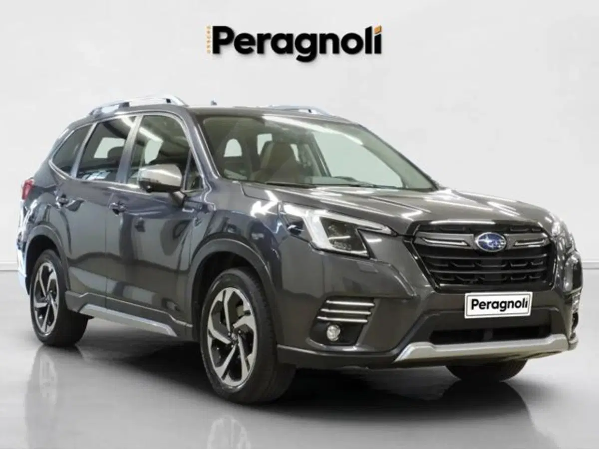 Subaru Forester usata a Firenze (3)