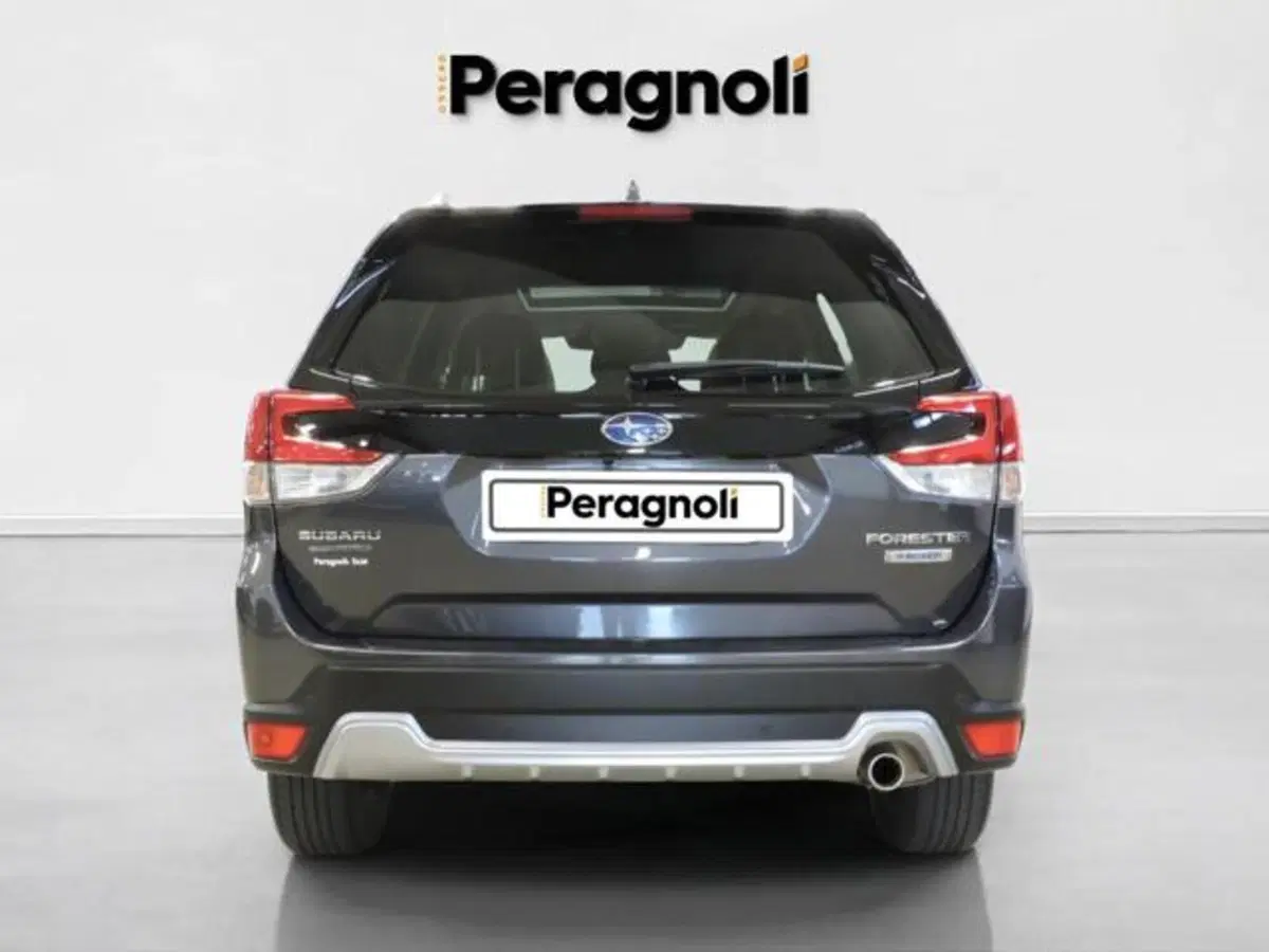Subaru Forester usata a Firenze (4)