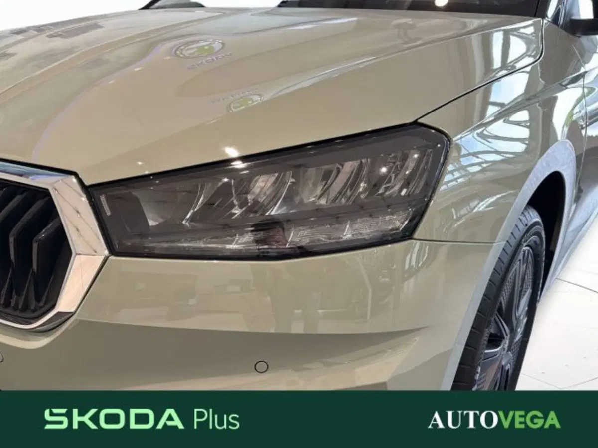 Skoda Fabia nuova a Vicenza (18)