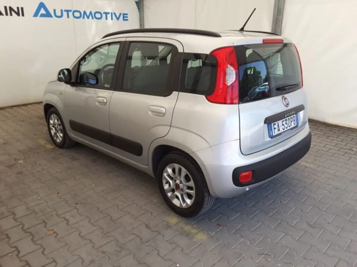 Fiat Panda usata a Firenze (12)