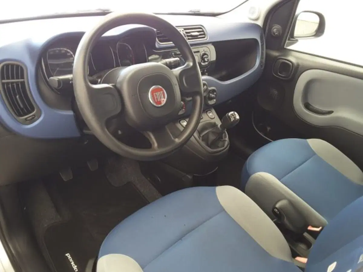 Fiat Panda usata a Firenze (6)