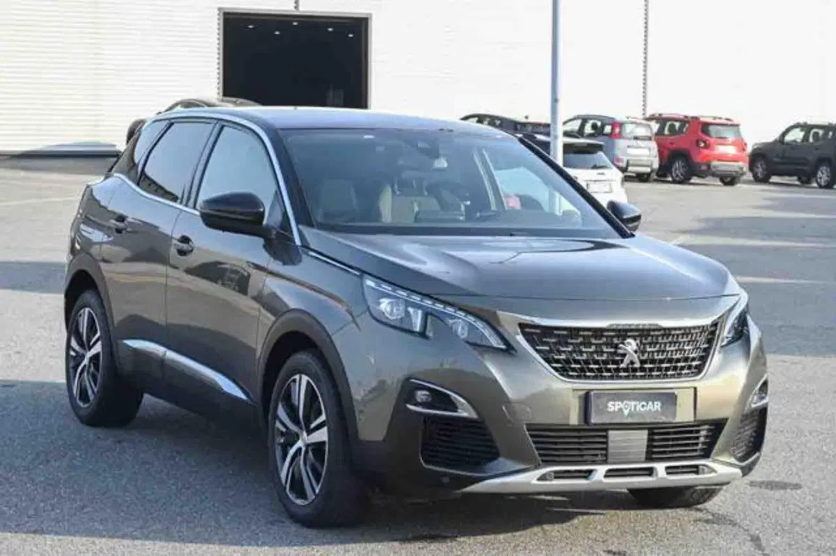 Peugeot 3008 usata a Torino (2)
