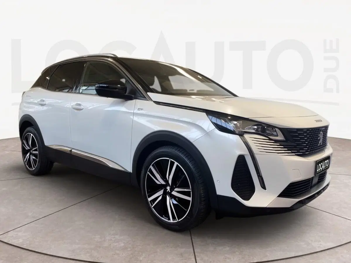 Peugeot 3008 usata a Torino (3)