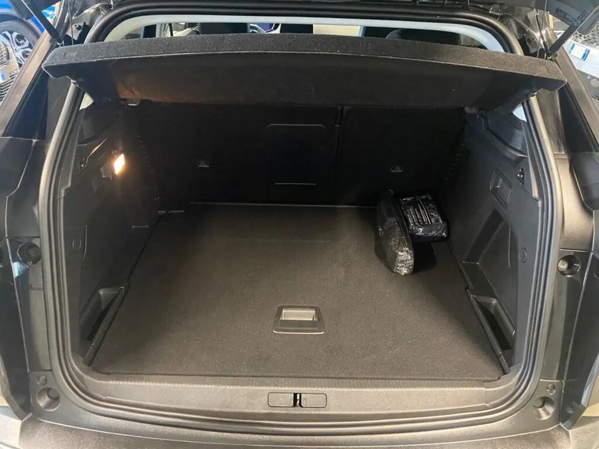Peugeot 3008 usata a Torino (9)