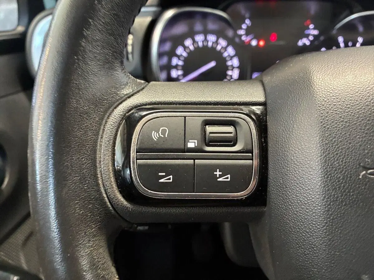 Citroen C3 usata a Torino (12)