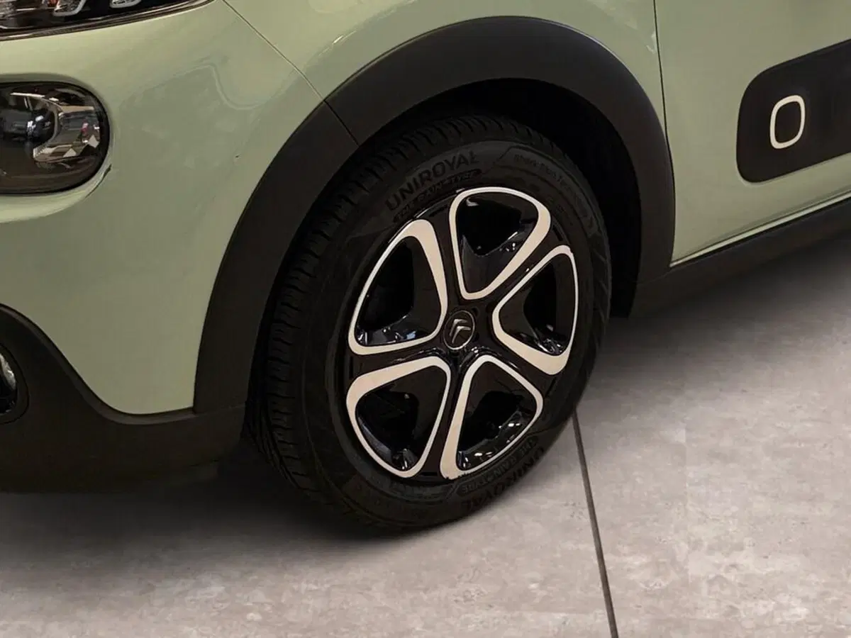 Citroen C3 usata a Torino (15)