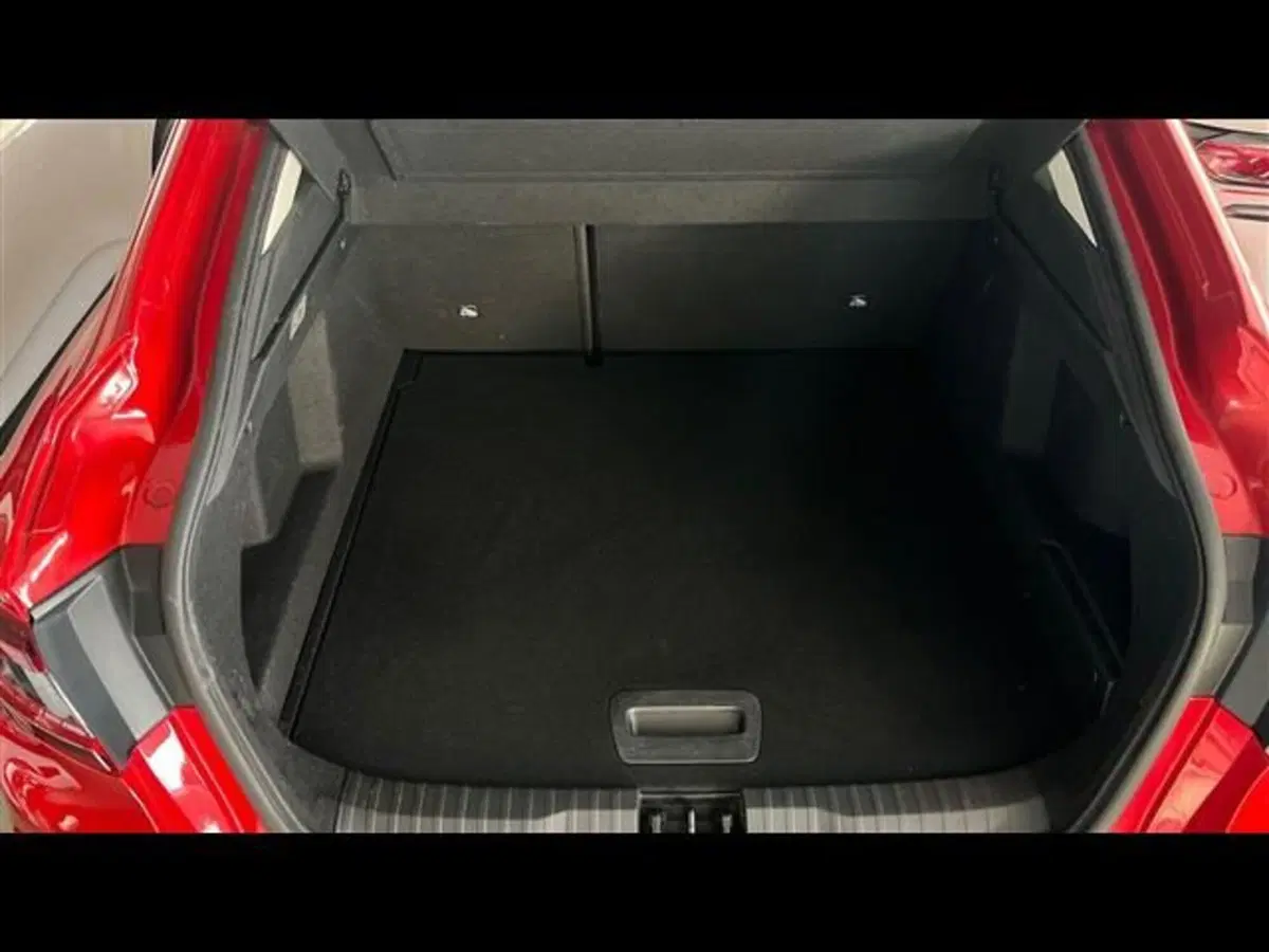 Renault Arkana usata a Firenze (5)