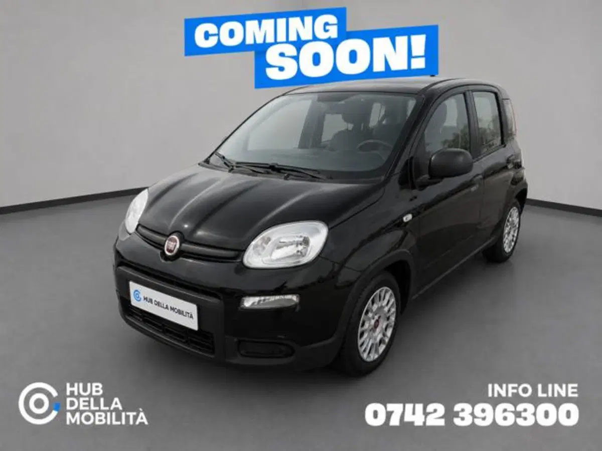 Fiat Panda usata a Perugia