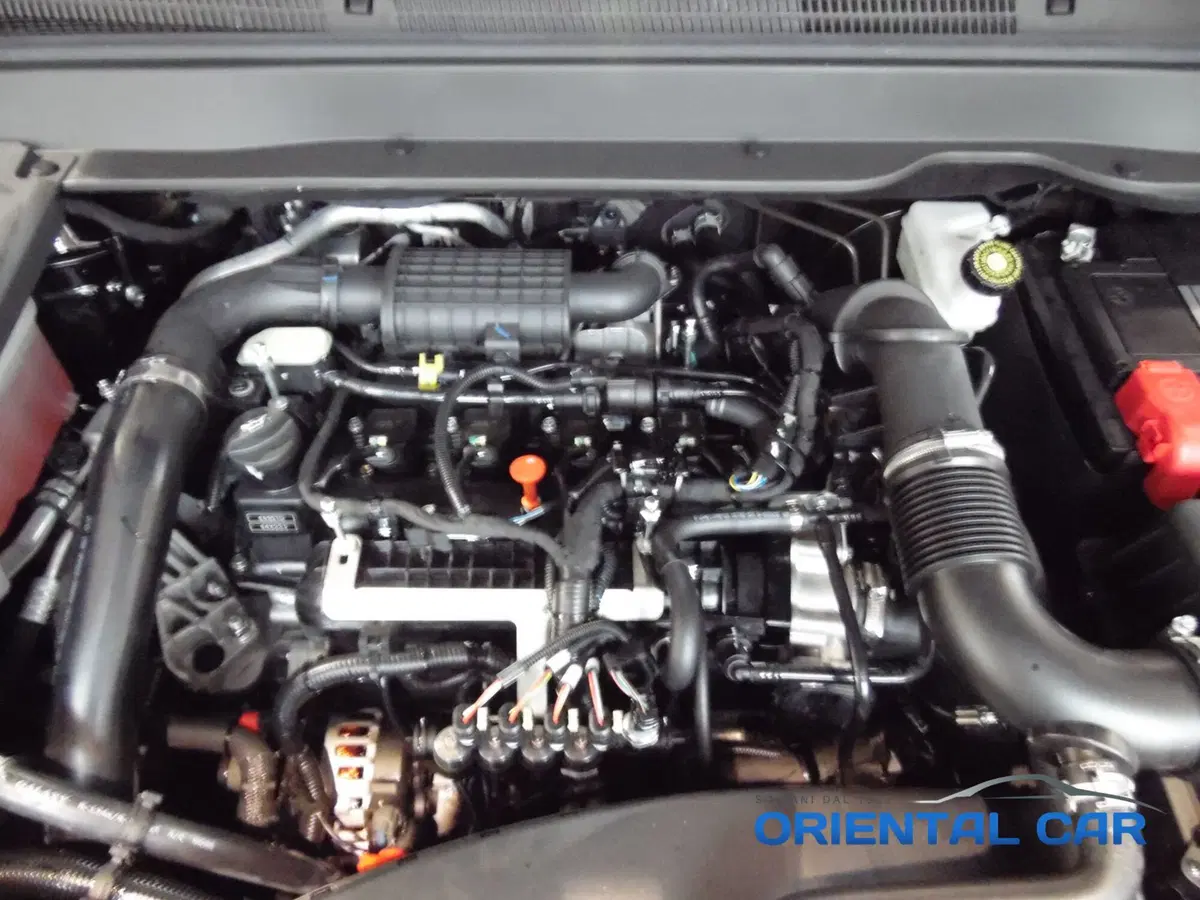 Evo Evo 6 II nuova a La Spezia (15)
