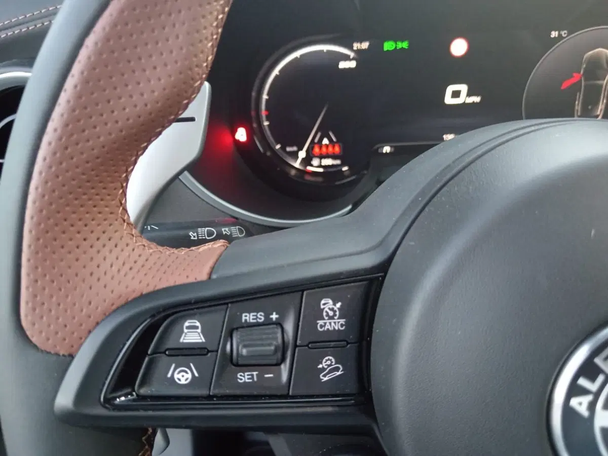 Alfa Romeo Stelvio nuova a Alessandria (17)