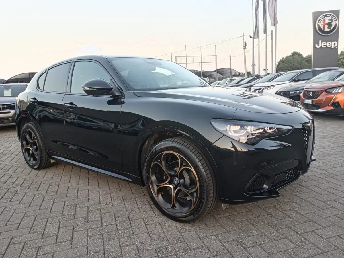 Alfa Romeo Stelvio nuova a Alessandria (3)