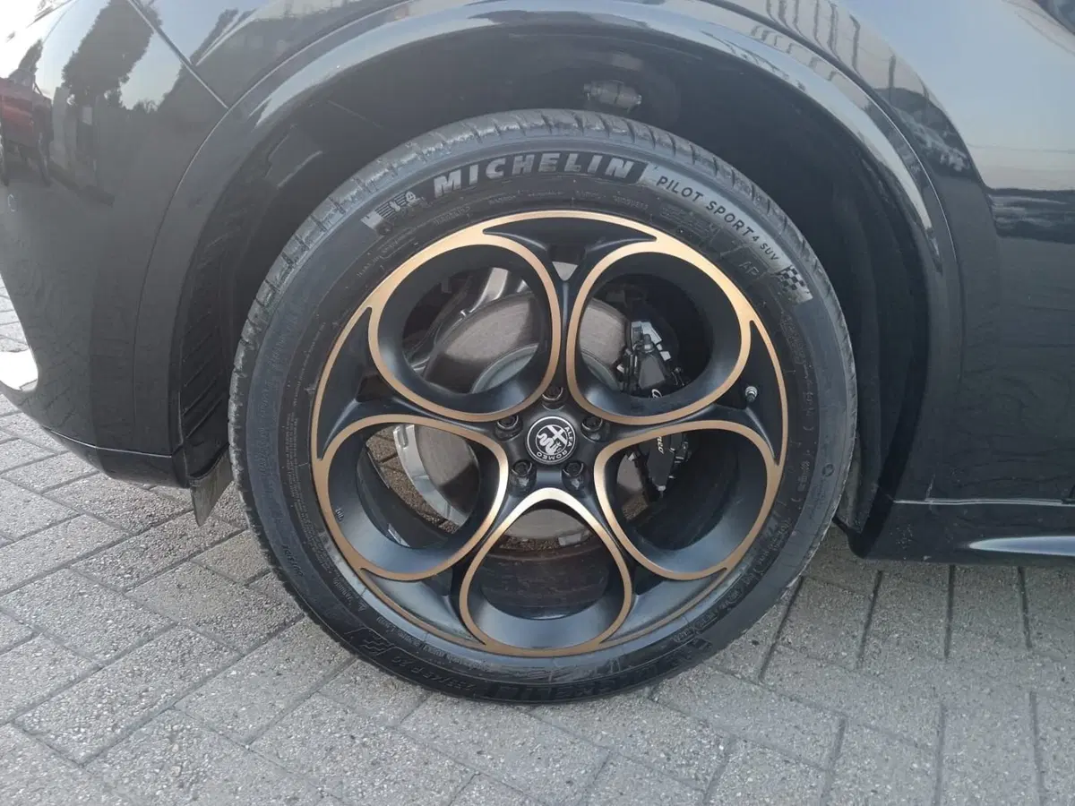 Alfa Romeo Stelvio nuova a Alessandria (9)