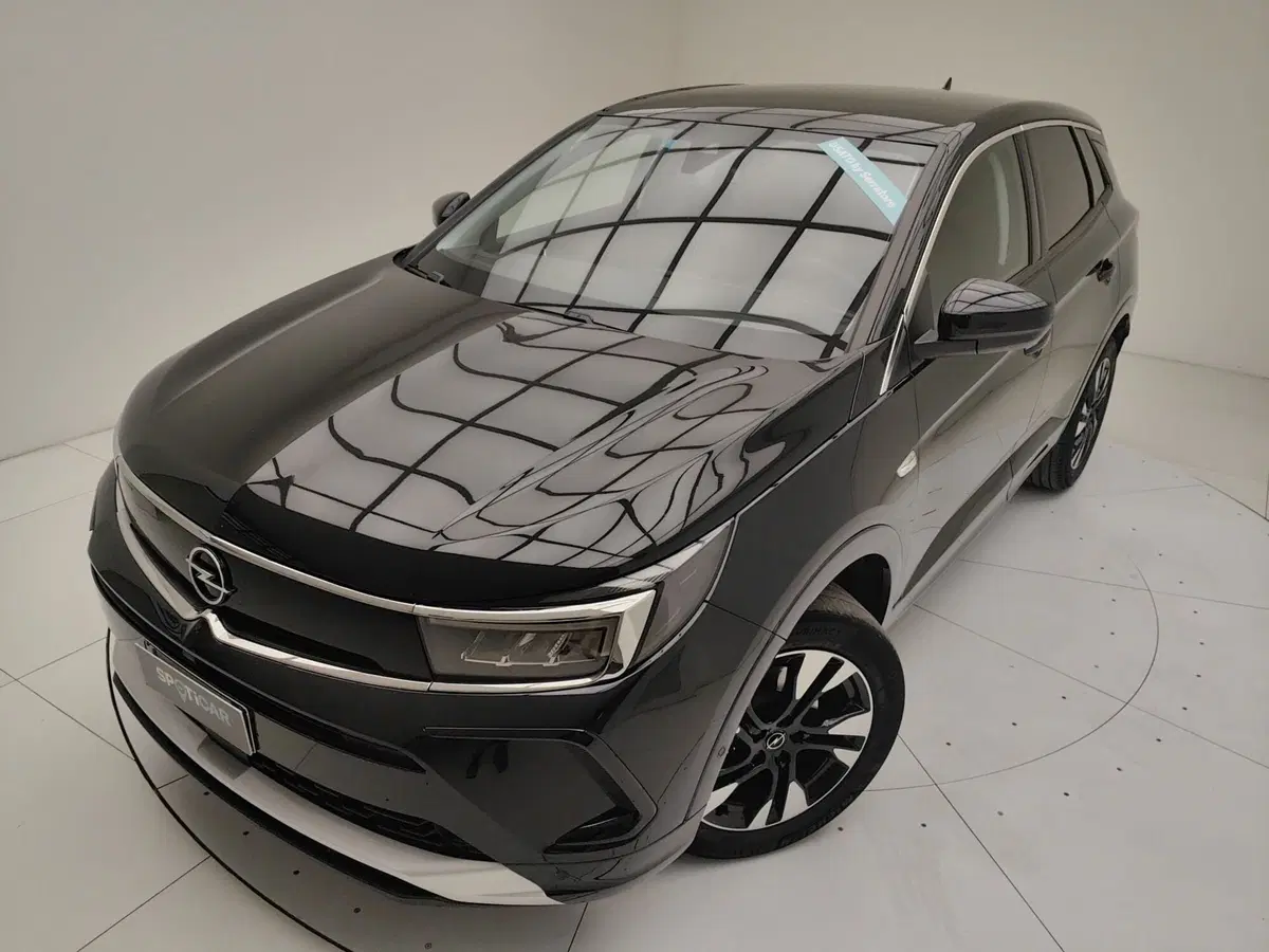 Opel Grandland usata a Como (13)