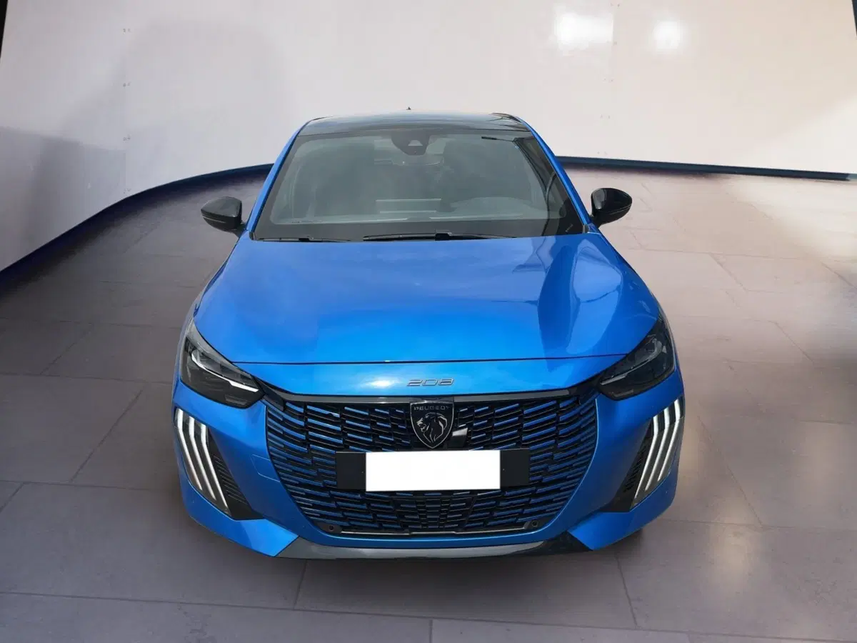 Peugeot 208 usata a Torino