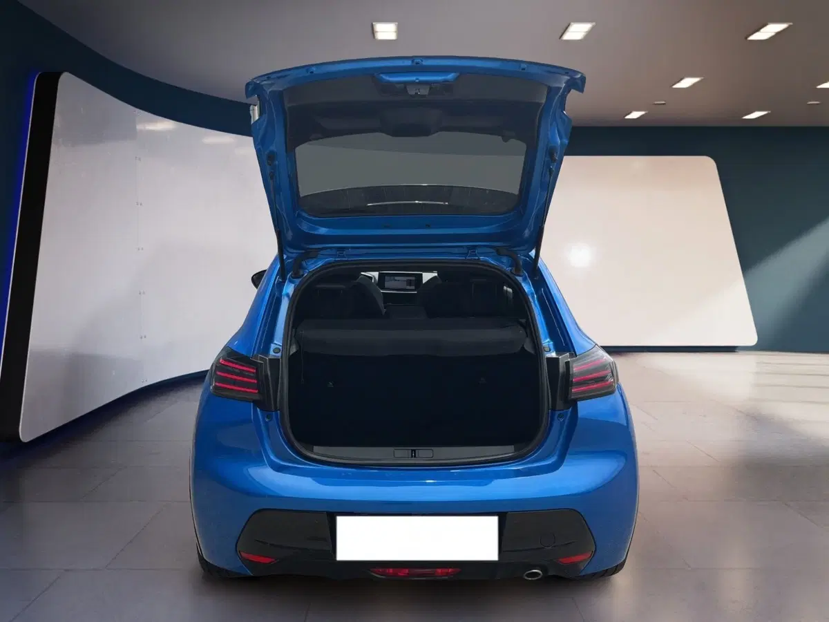 Peugeot 208 usata a Torino (8)
