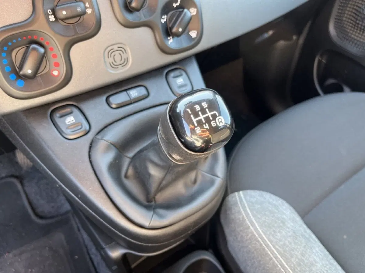 Fiat Panda Cross usata a Torino (11)