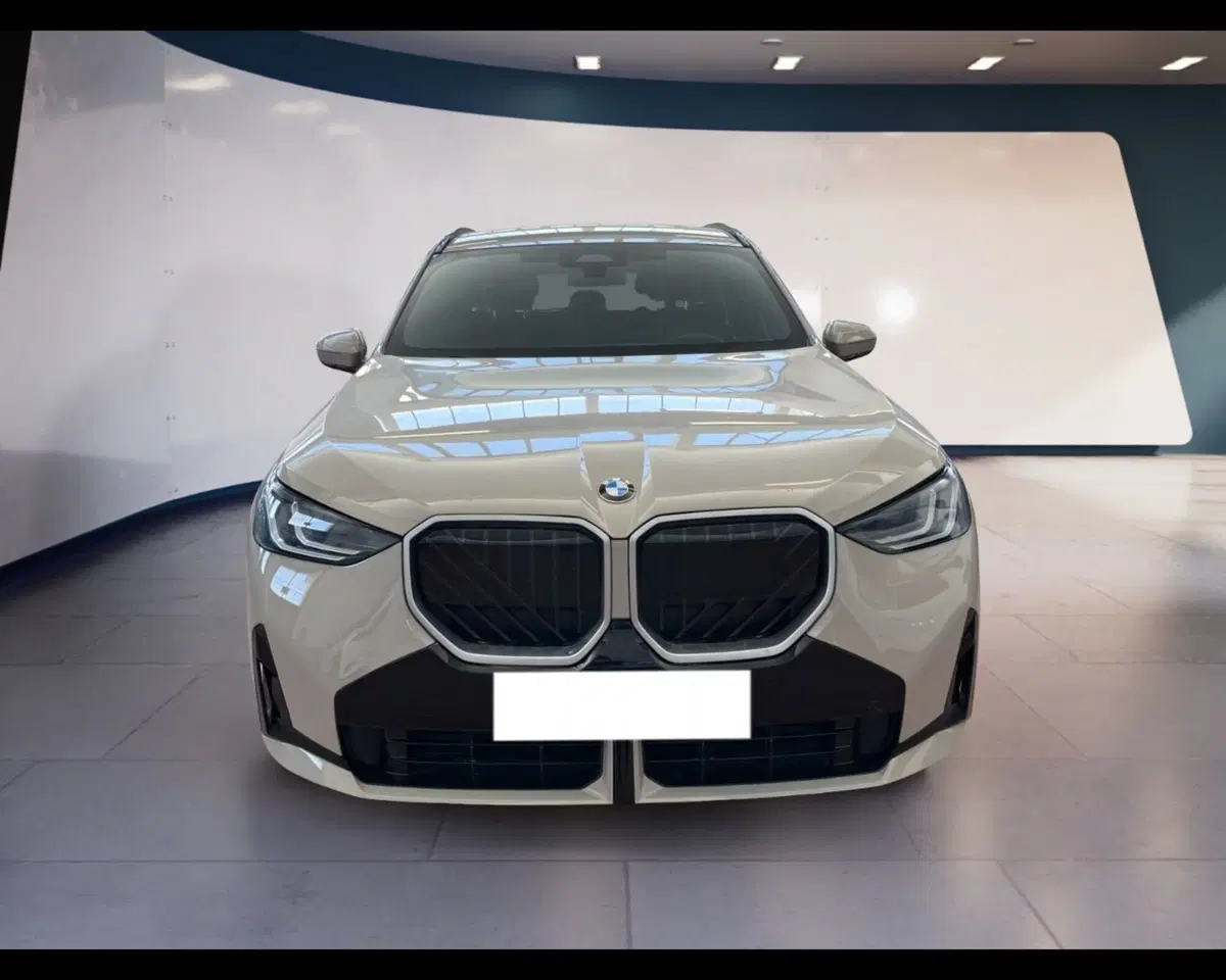 BMW X3 usata a Torino