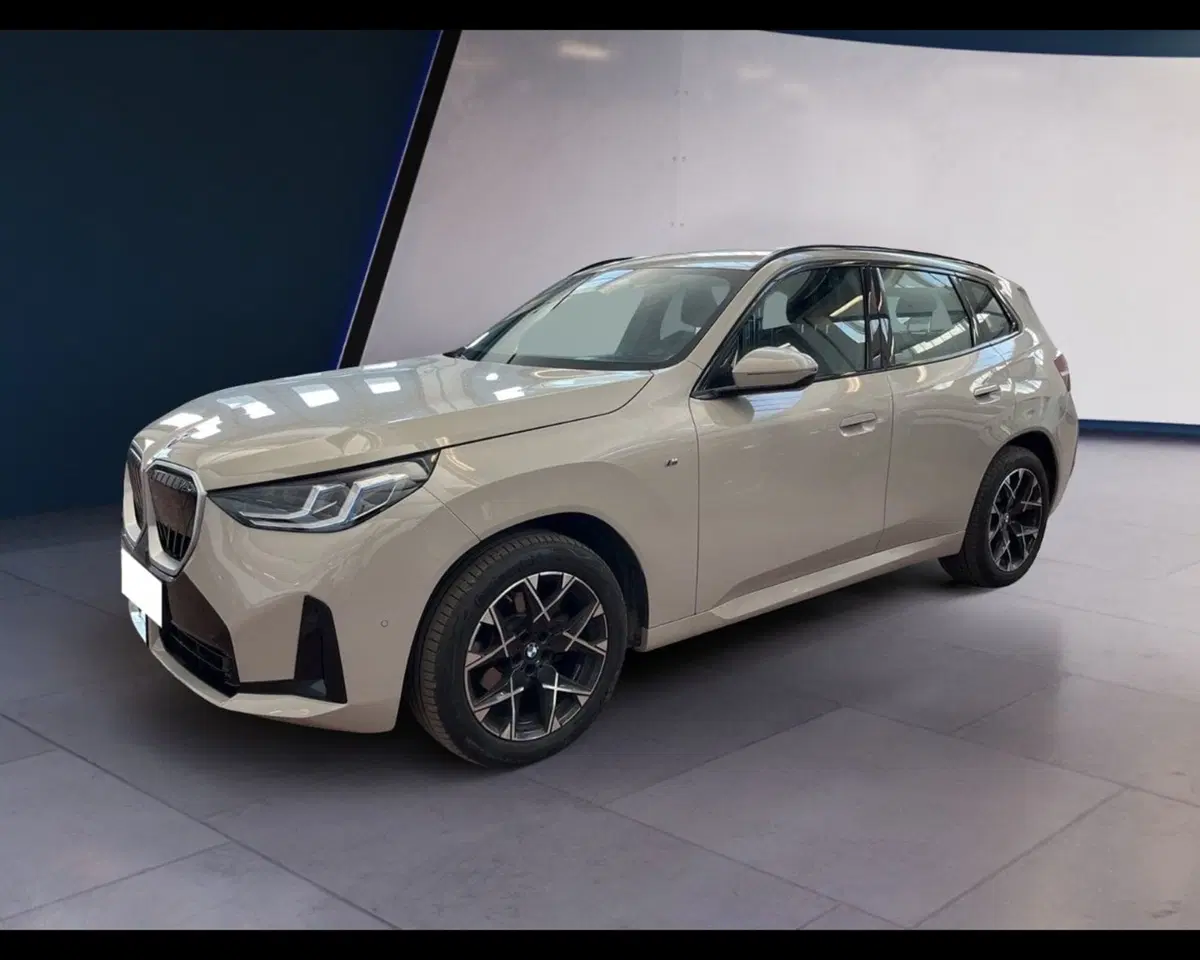 BMW X3 usata a Torino (10)