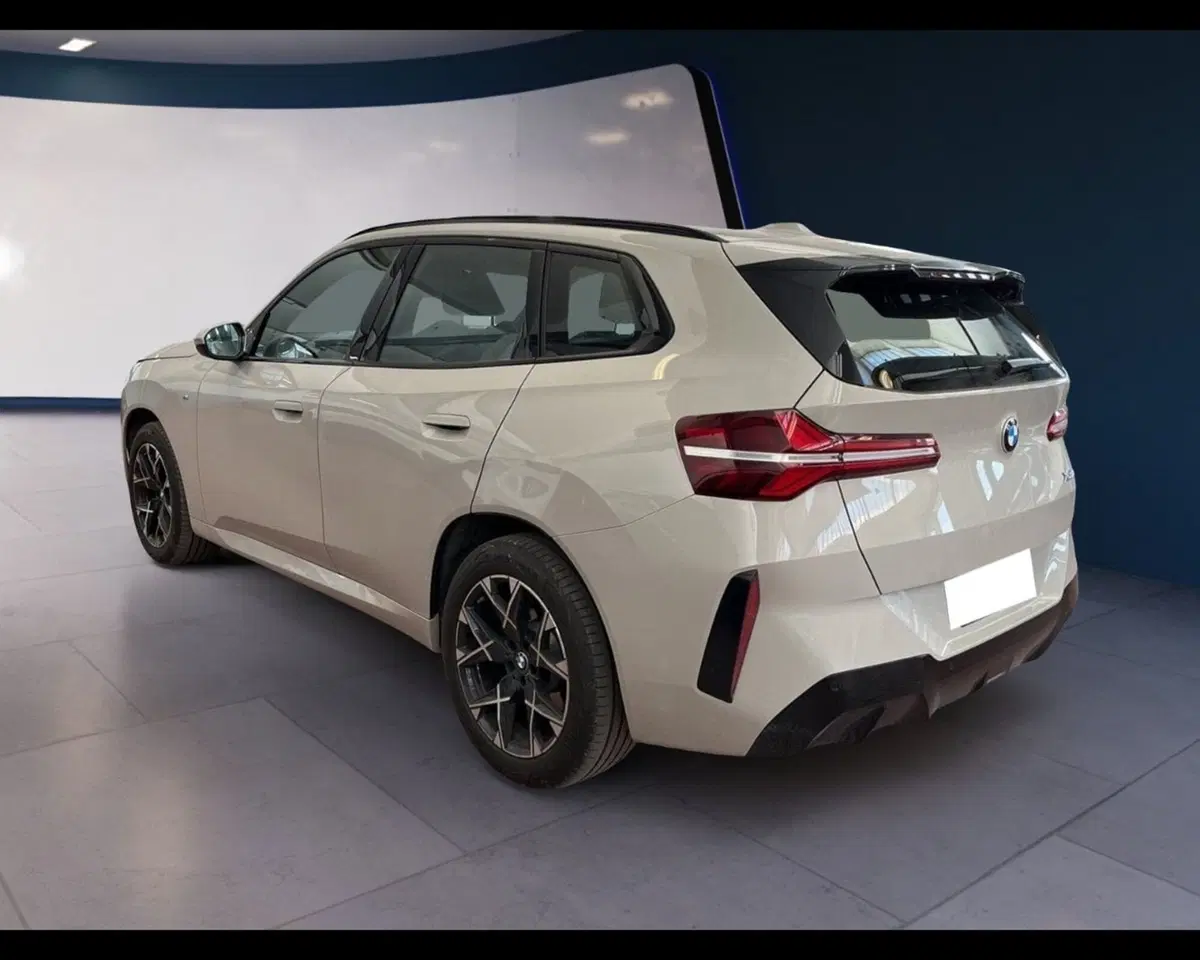 BMW X3 usata a Torino (11)