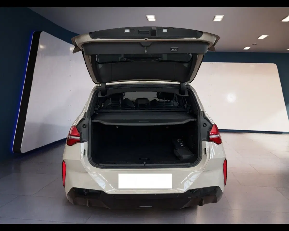 BMW X3 usata a Torino (15)