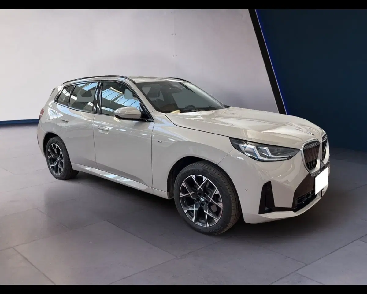 BMW X3 usata a Torino (9)
