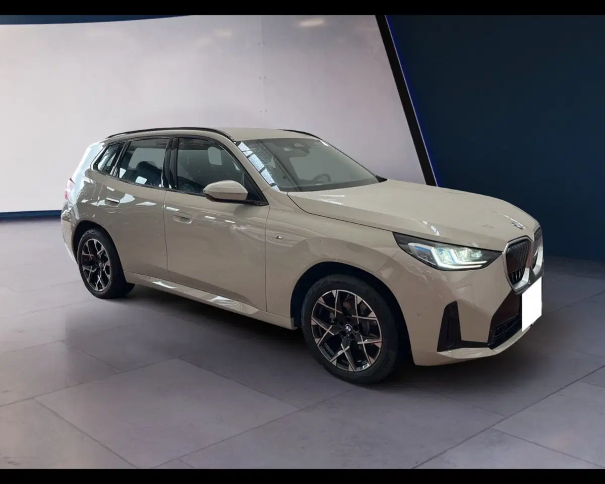 BMW X3 usata a Torino (10)