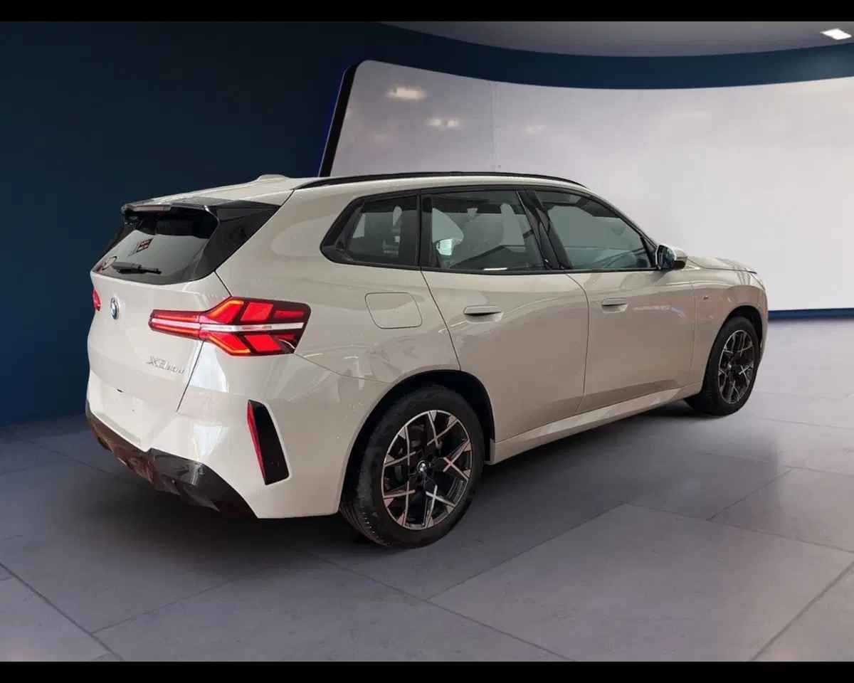 BMW X3 usata a Torino (11)