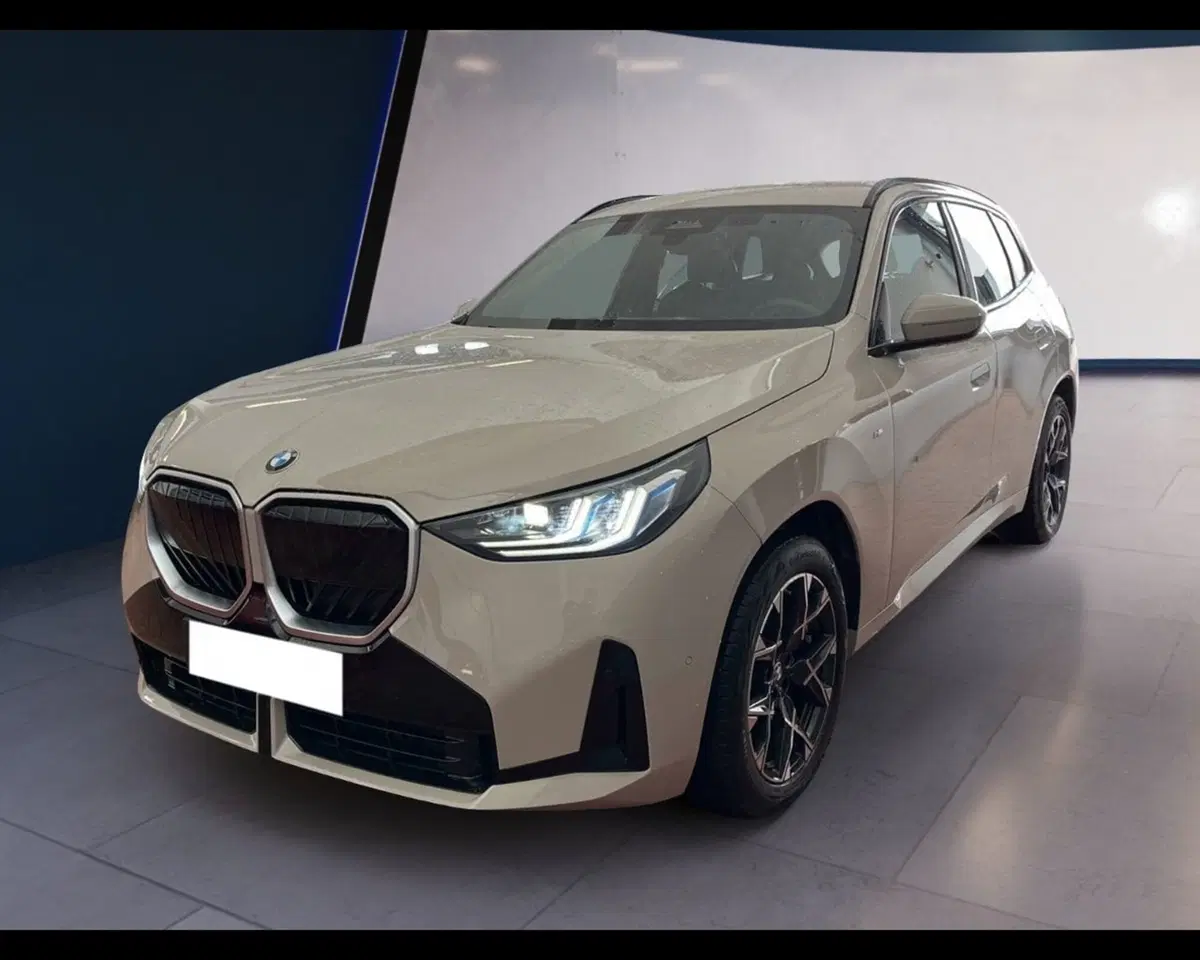 BMW X3 usata a Torino (9)