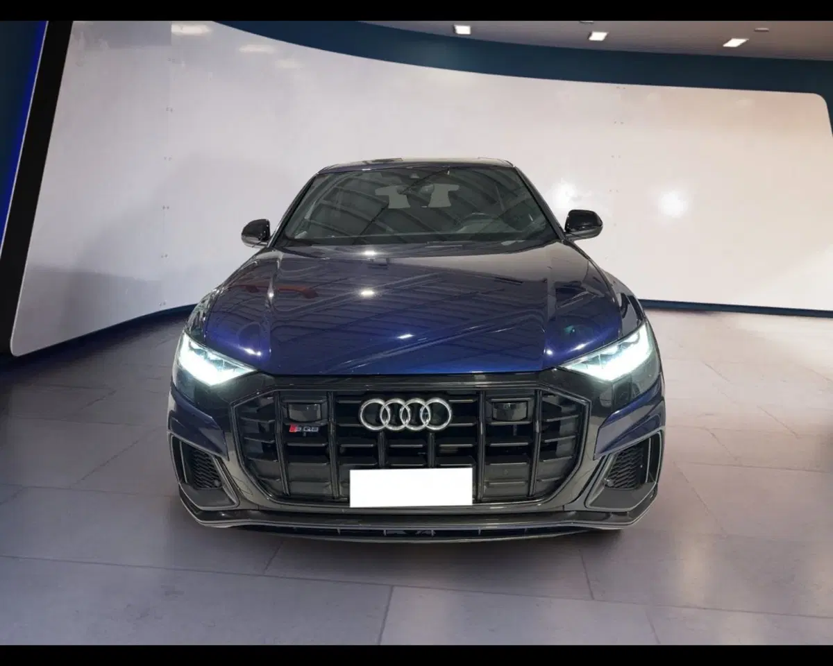 Audi RS Q8 usata a Torino
