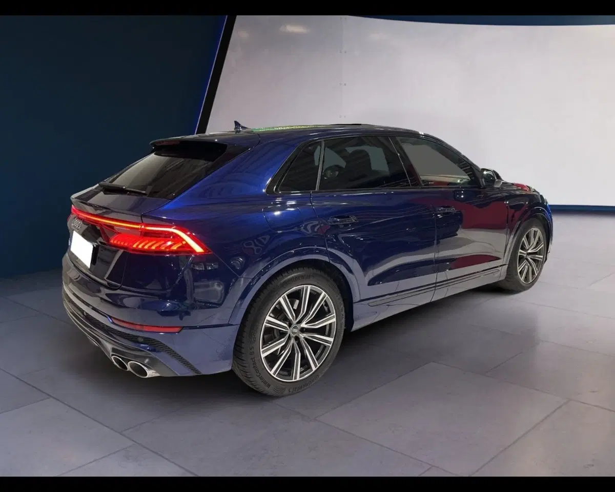 Audi RS Q8 usata a Torino (10)