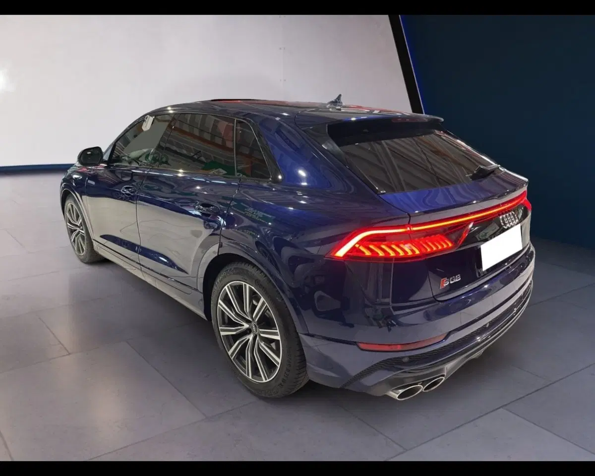 Audi RS Q8 usata a Torino (12)