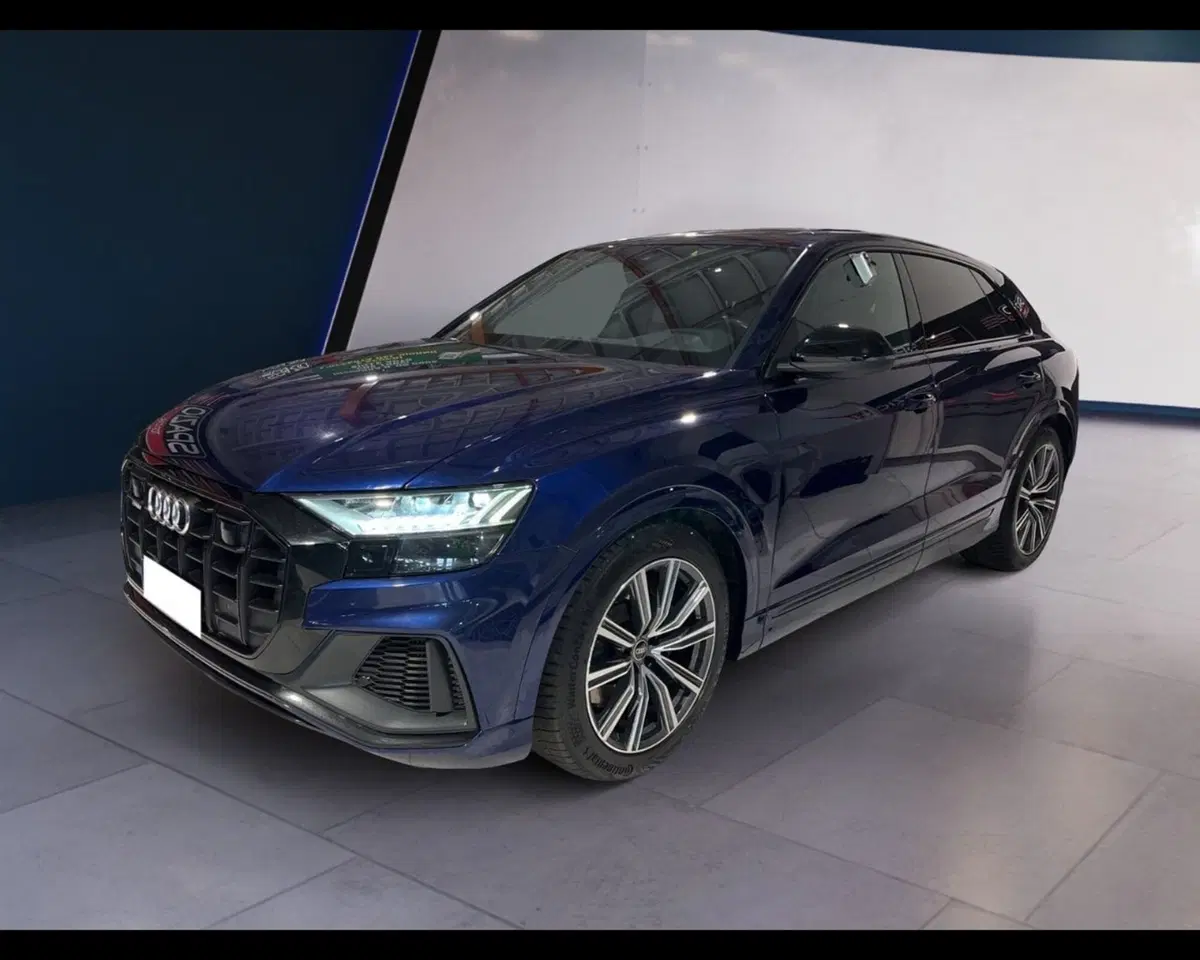 Audi RS Q8 usata a Torino (8)