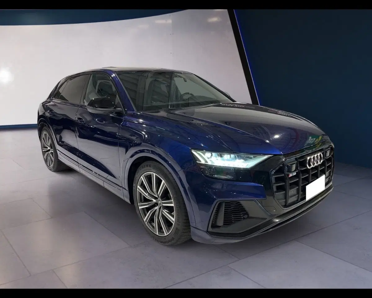 Audi RS Q8 usata a Torino (9)
