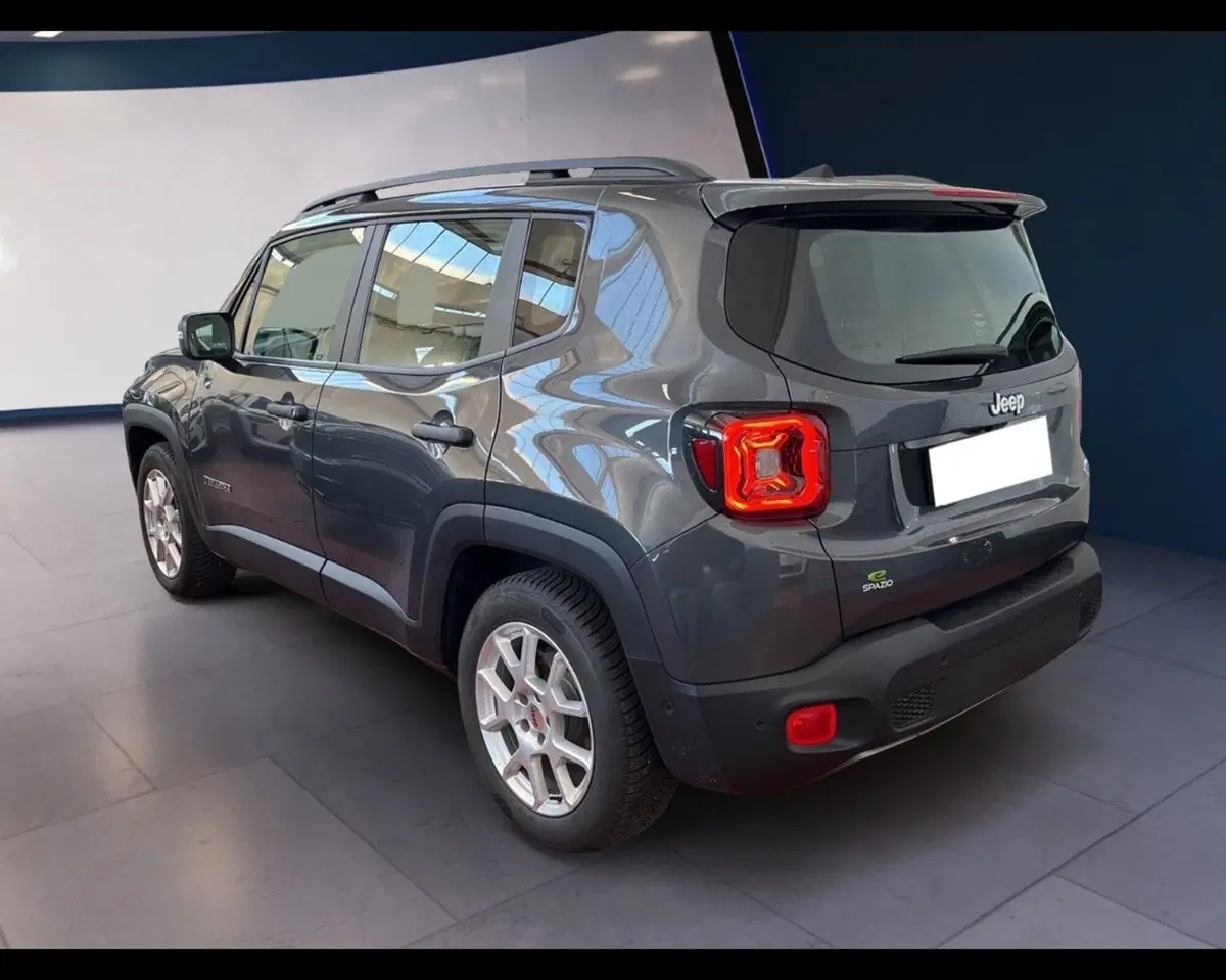 Jeep Renegade usata a Torino (10)