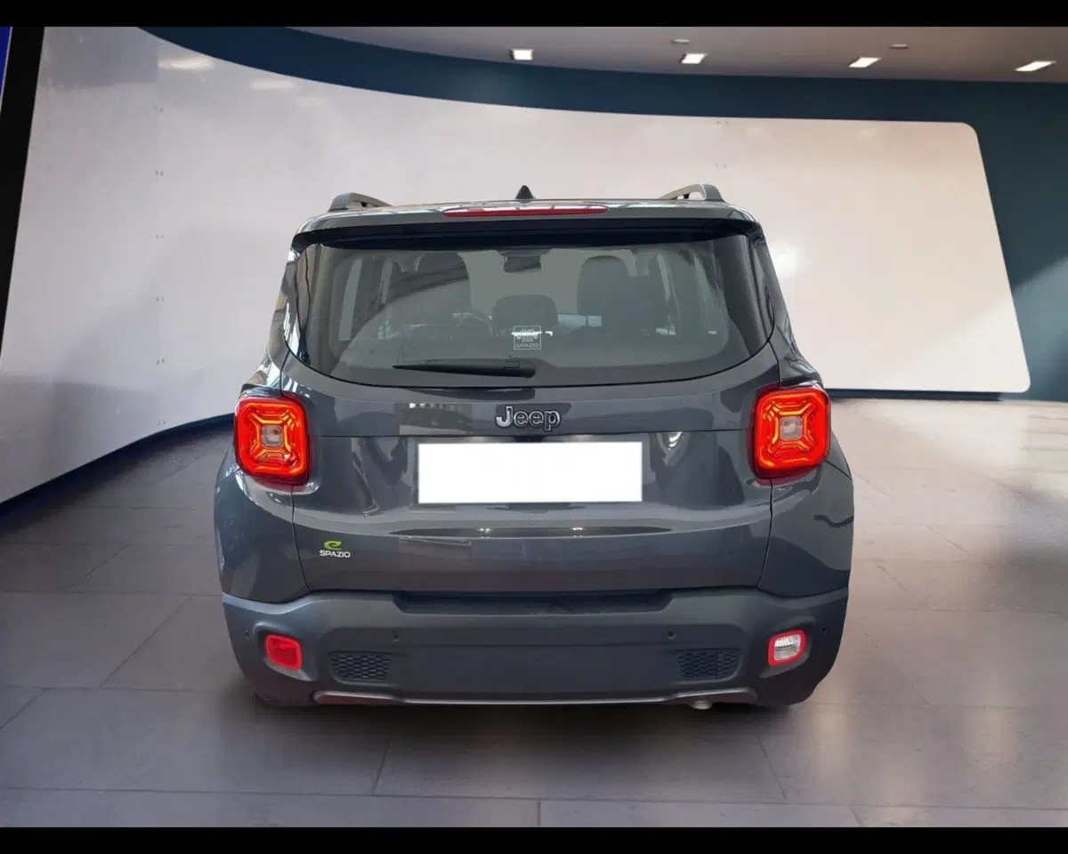 Jeep Renegade usata a Torino (11)