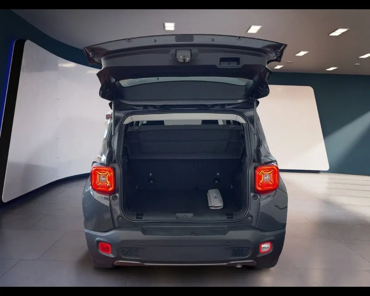 Jeep Renegade usata a Torino (13)