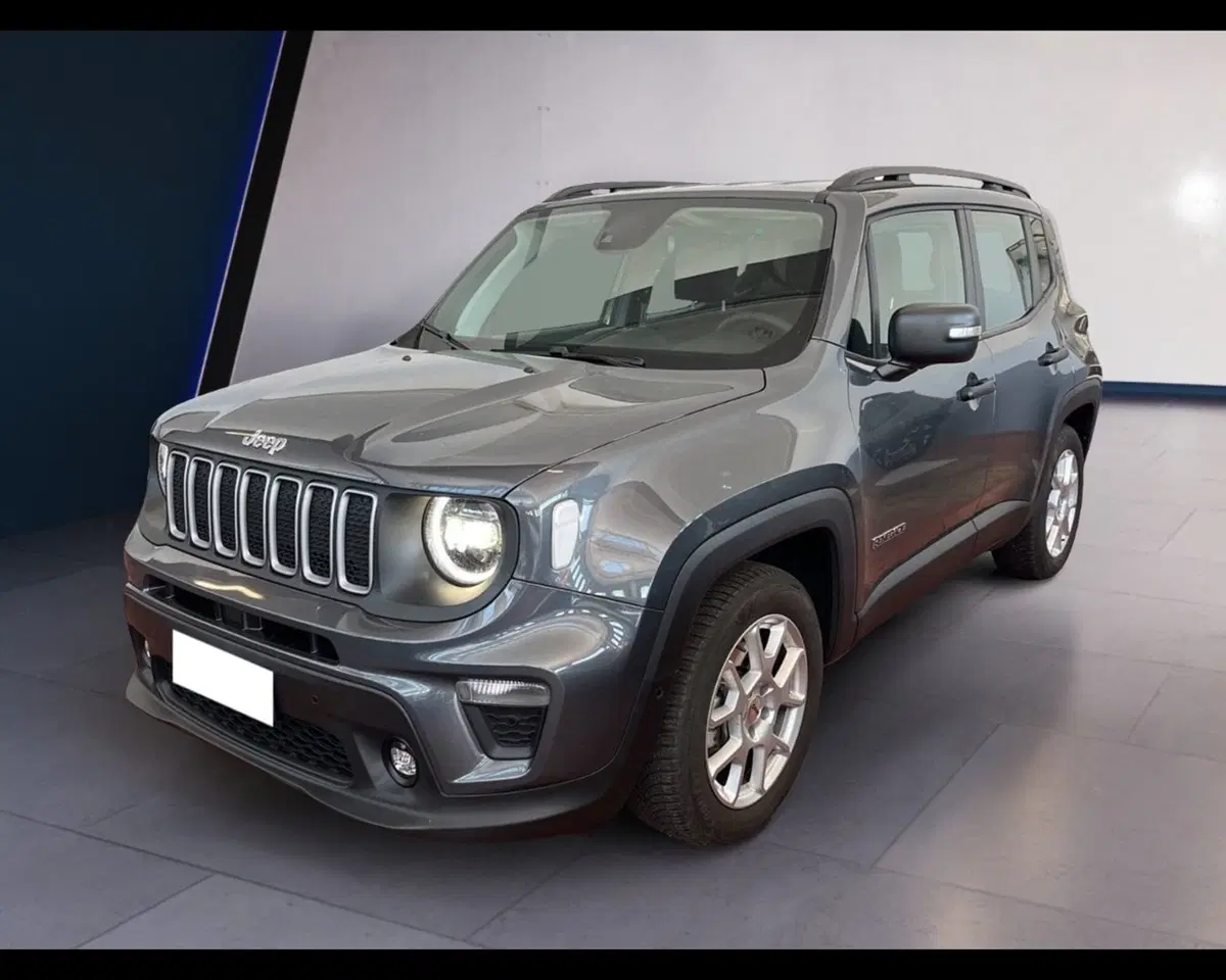 Jeep Renegade usata a Torino (9)
