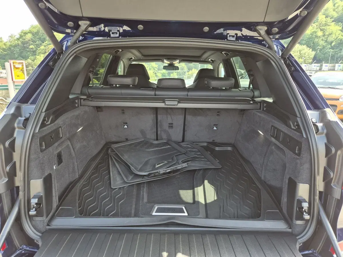 BMW X5 usata  (12)
