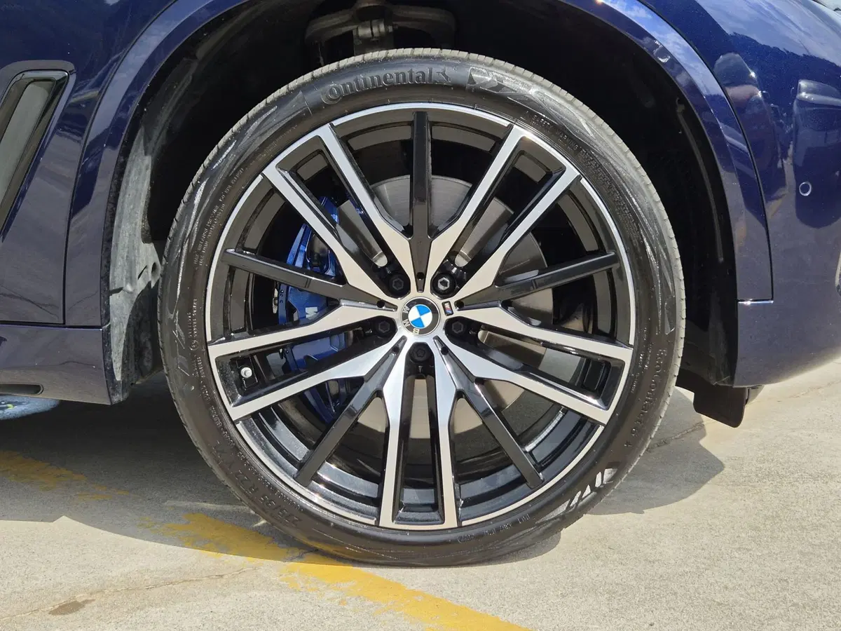 BMW X5 usata  (13)