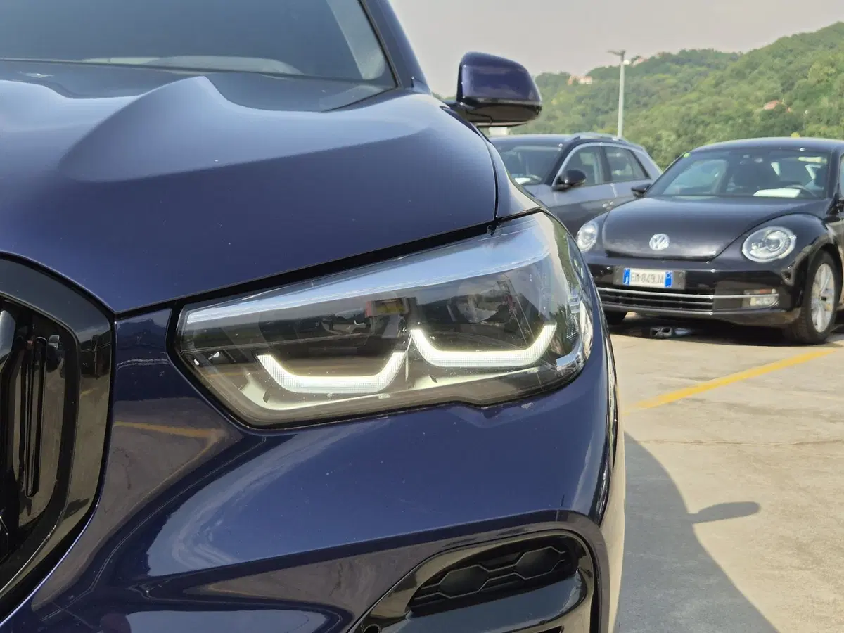 BMW X5 usata  (17)