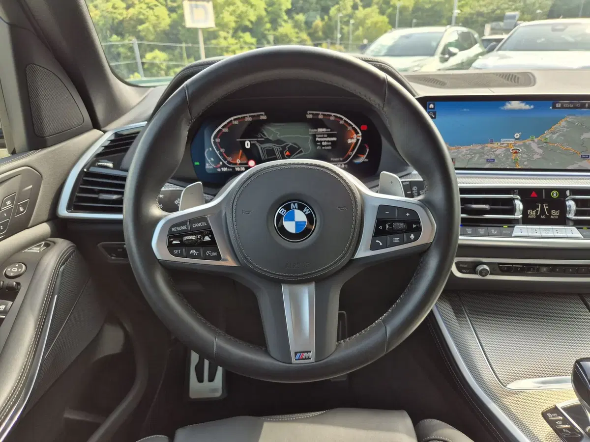 BMW X5 usata  (18)