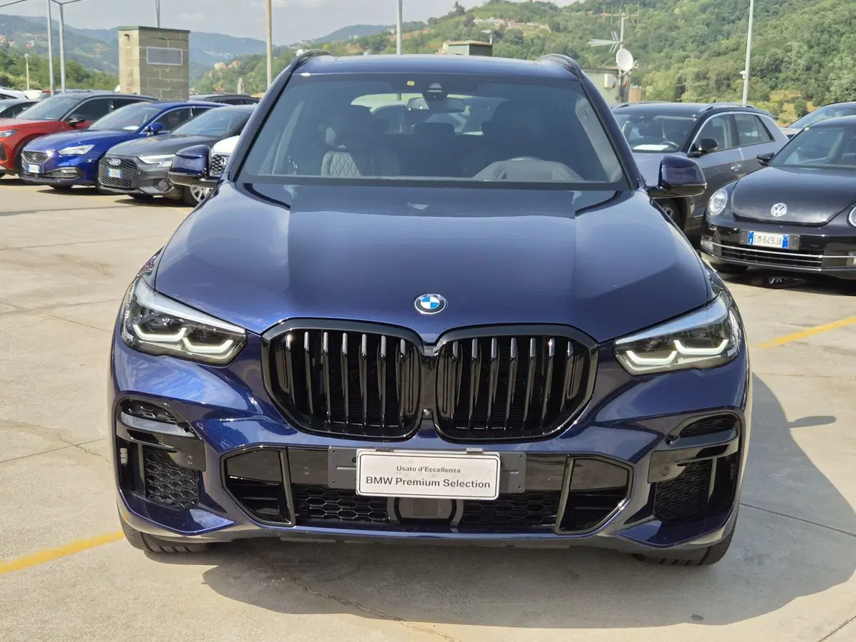 BMW X5 usata  (2)