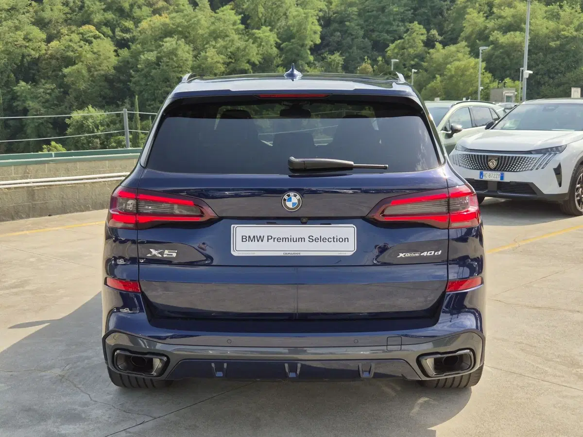 BMW X5 usata  (3)