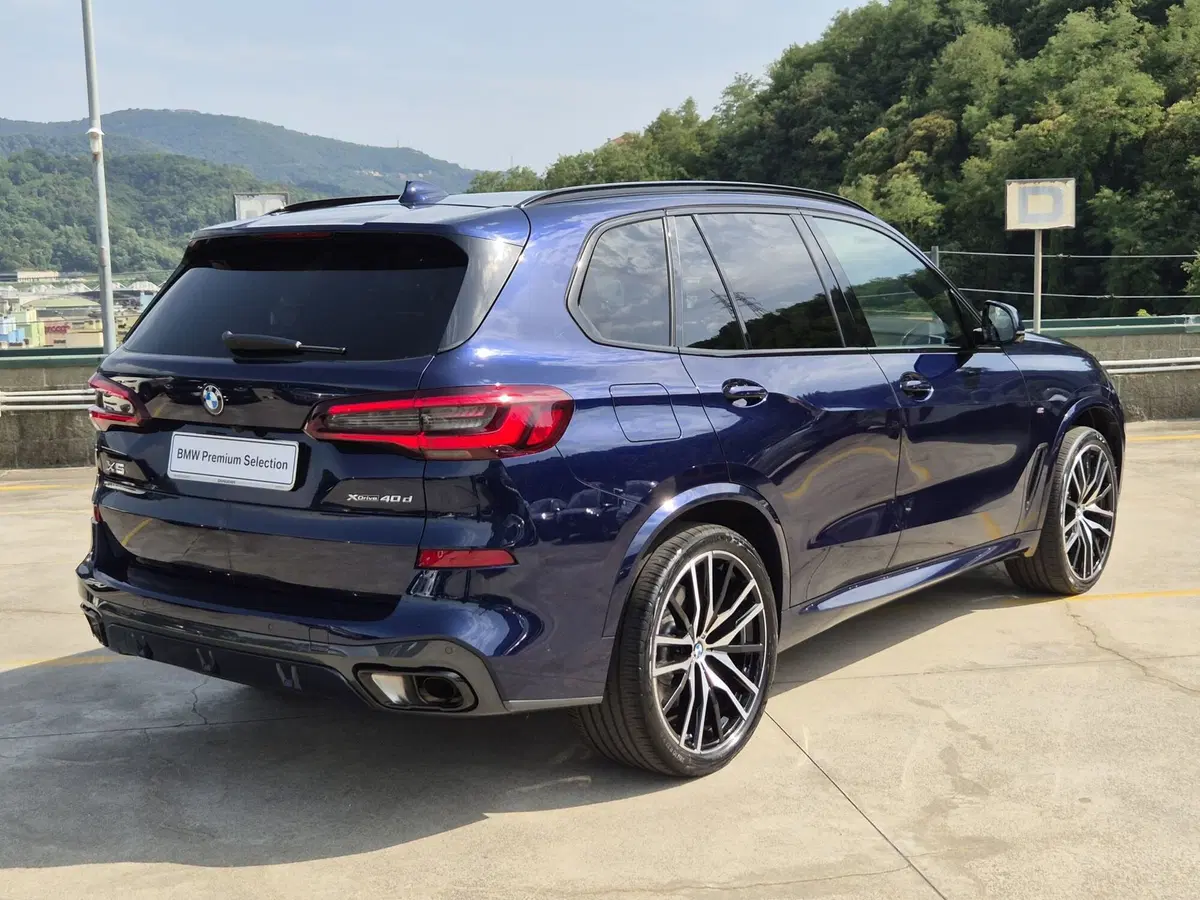 BMW X5 usata  (4)