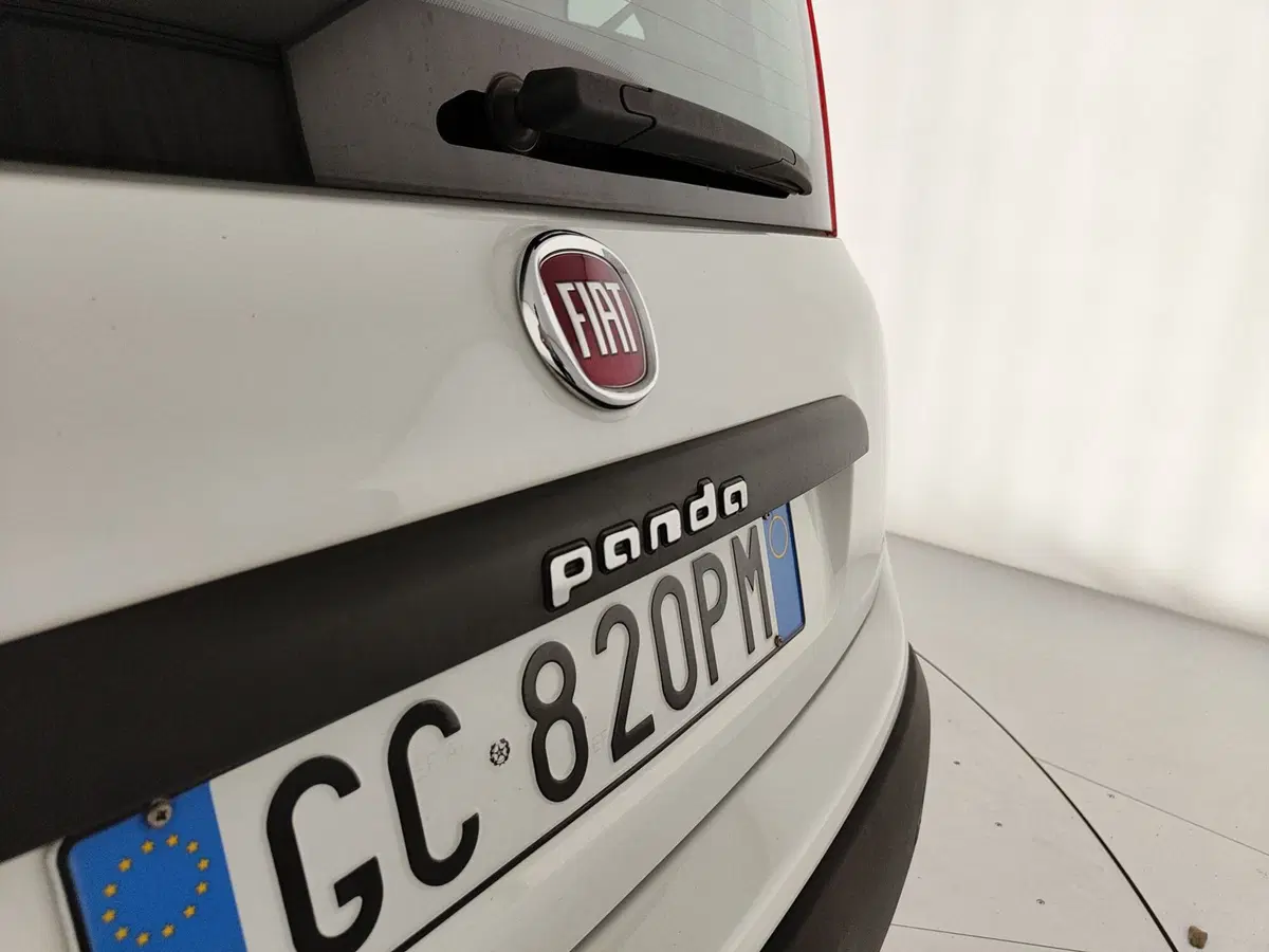 Fiat Panda usata a Caserta (10)