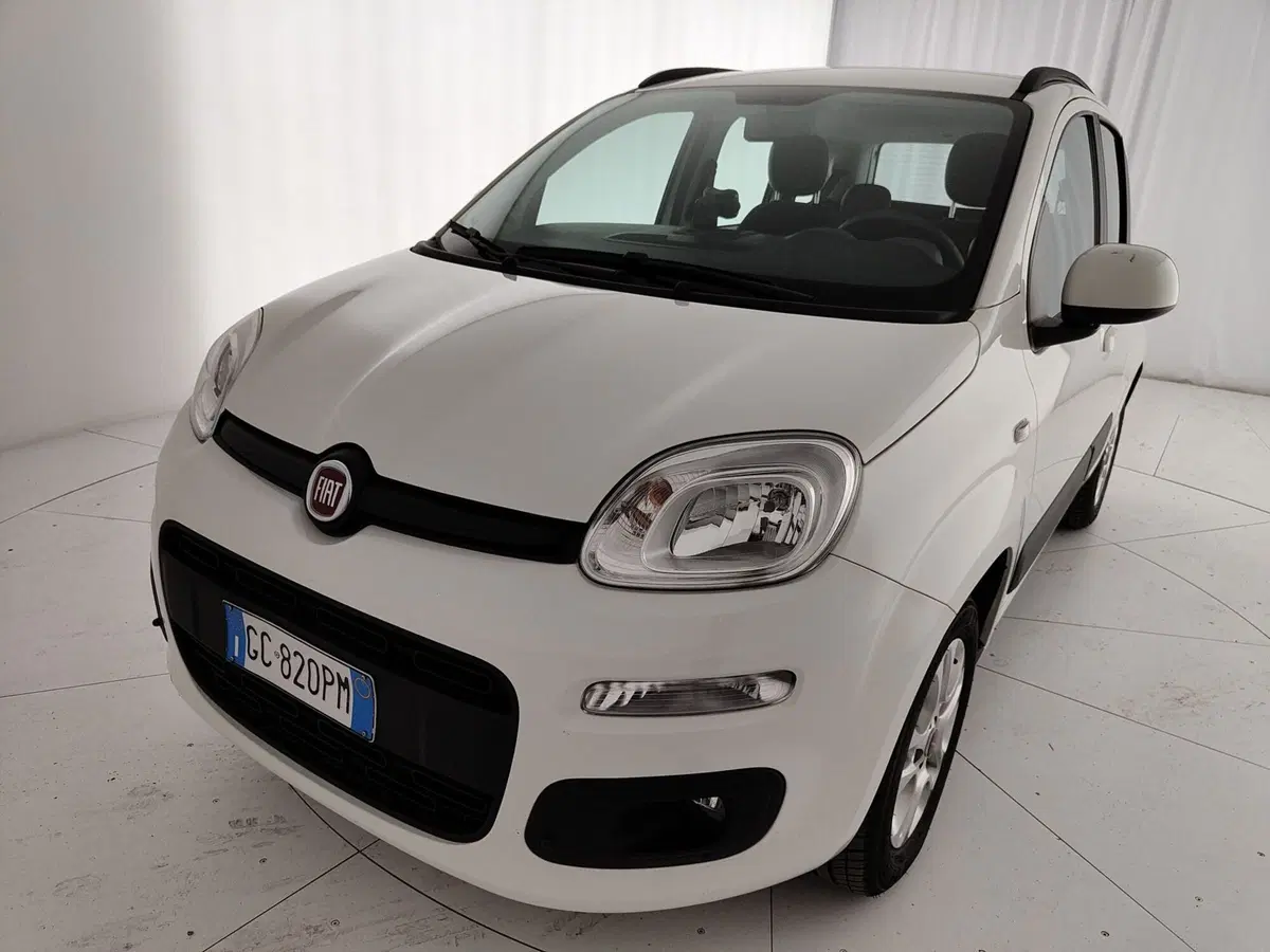 Fiat Panda usata a Caserta (13)