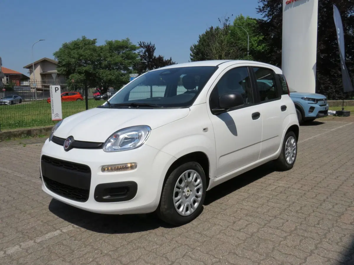 Fiat Pandina nuova a Monza e Brianza (4)
