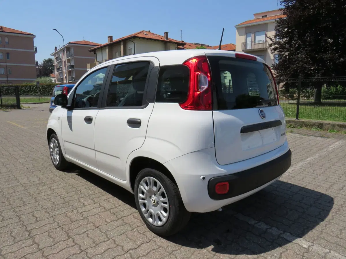 Fiat Pandina nuova a Monza e Brianza (5)