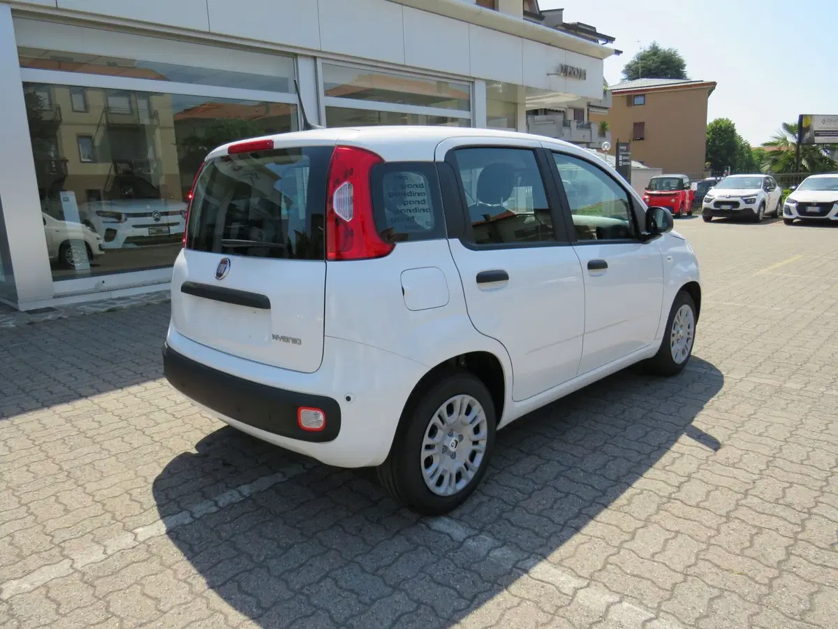 Fiat Pandina nuova a Monza e Brianza (6)