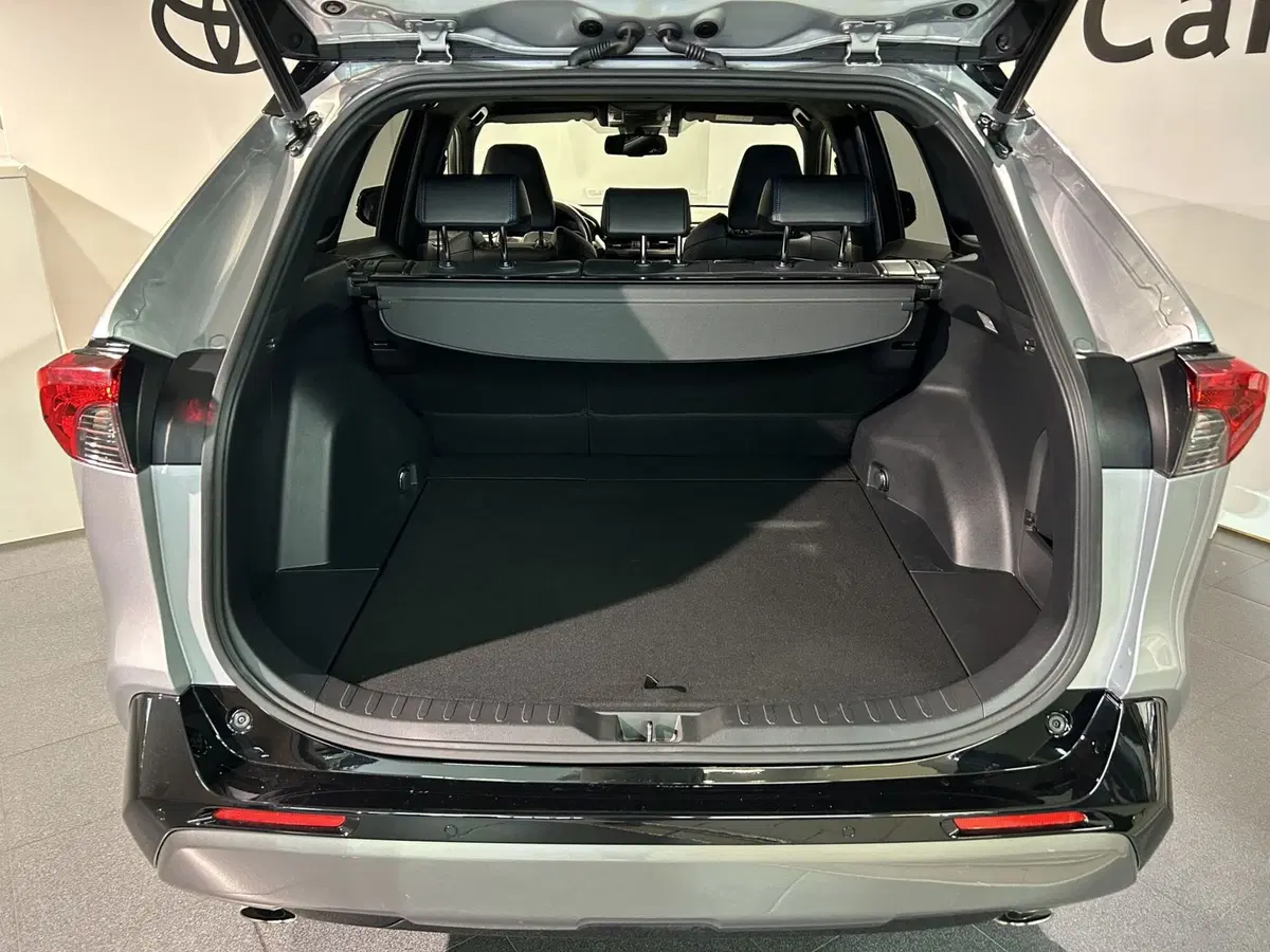 Toyota Rav4 usata a Milano (11)